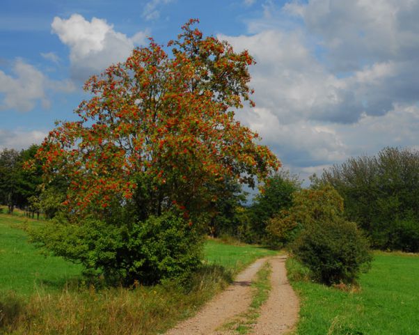 bilderzgebirge